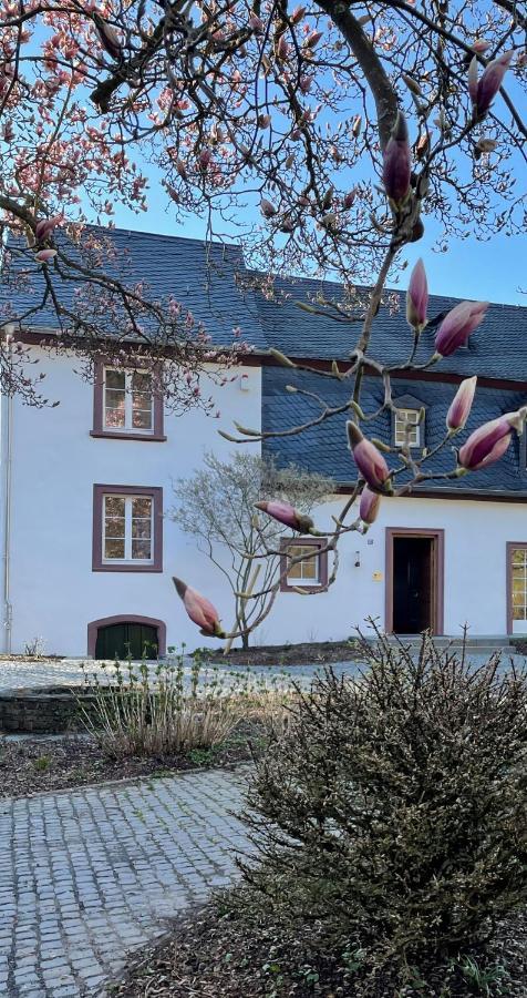 Martinshof Holiday home Traben-Trarbach
